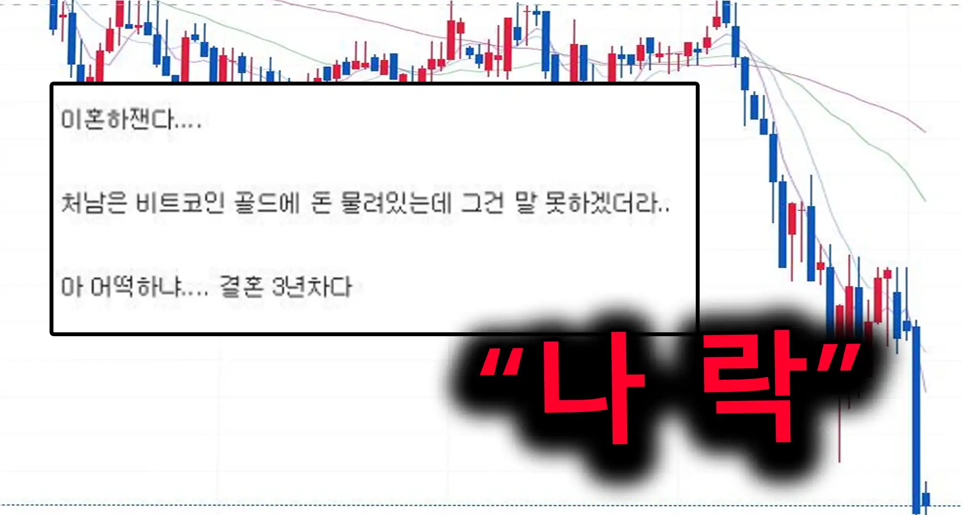 Read more about the article (2021년 5월) 나락갔던 비트코인…미친 사람들 모음ㄹㅇ