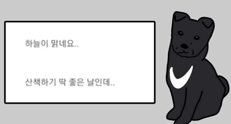 Read more about the article 반달곰 닮은 유기견 입양설ㄷㄷ