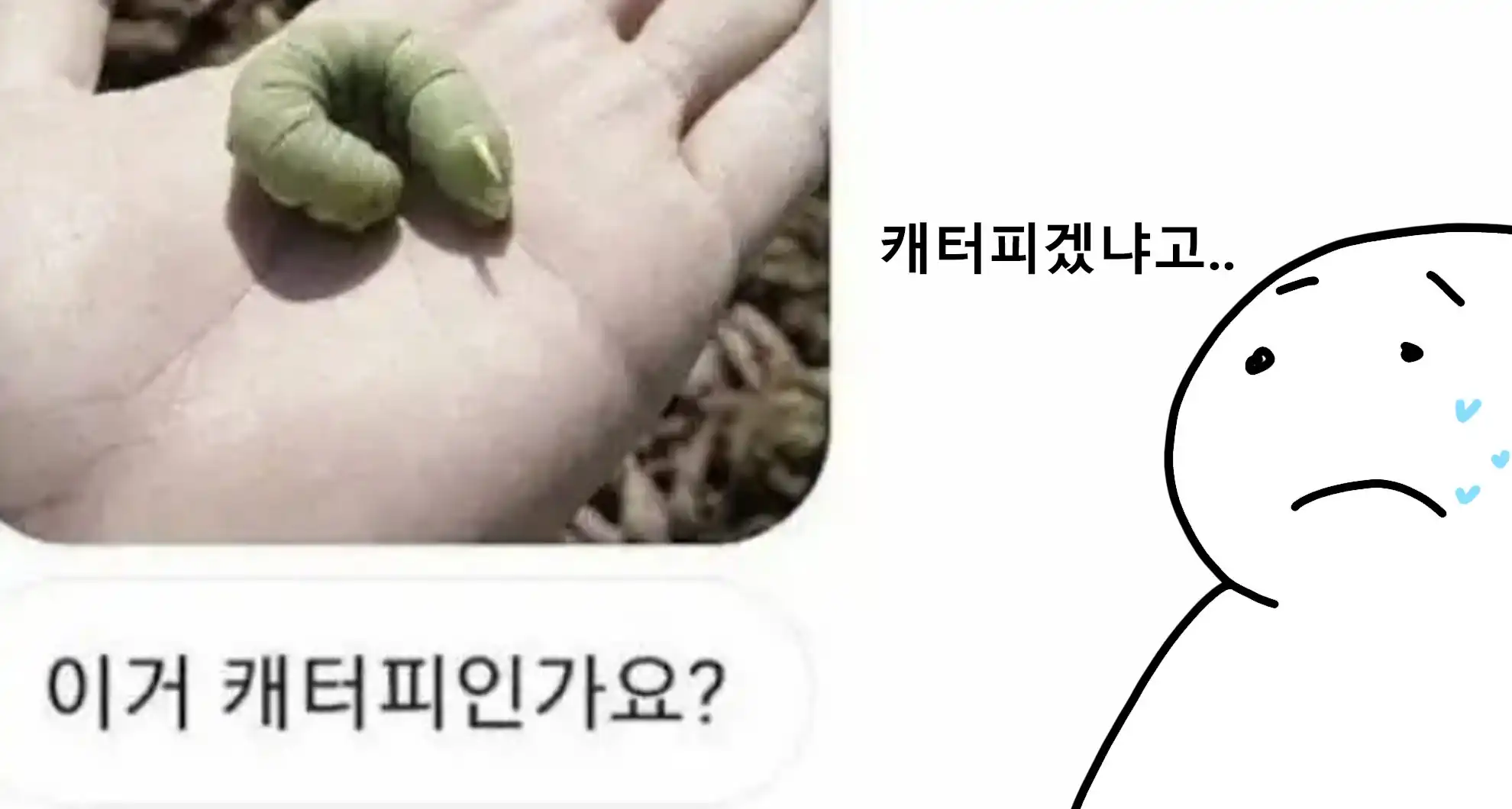 Read more about the article 생물유튜버가 평소에 받는 DM